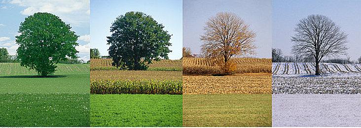 《查尔斯小火车》20分钟实机演示 如何在杀手面前生存